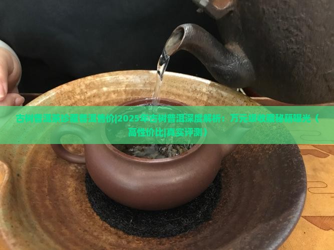 古树普洱茶珍藏普洱售价