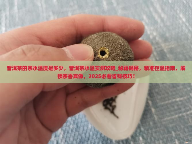 普洱茶的茶水温度是多少
