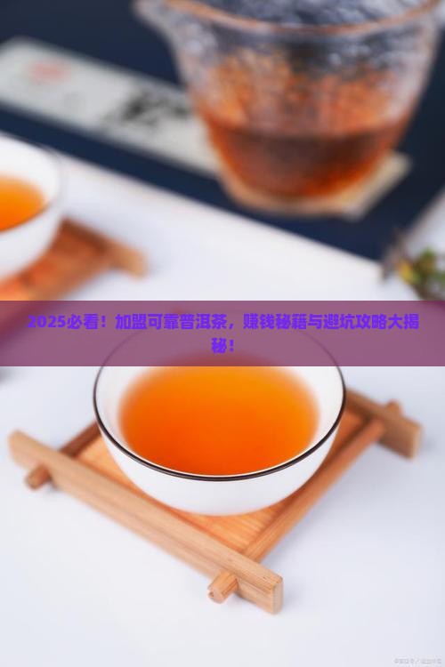 可靠普洱茶如何加盟赚钱
