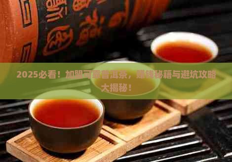 可靠普洱茶如何加盟赚钱