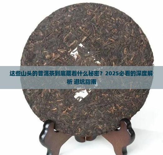 各大山头的普洱茶