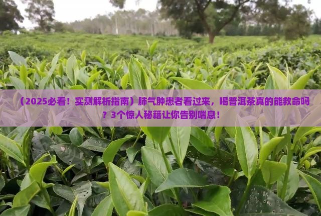 普洱茶治愈肺气肿