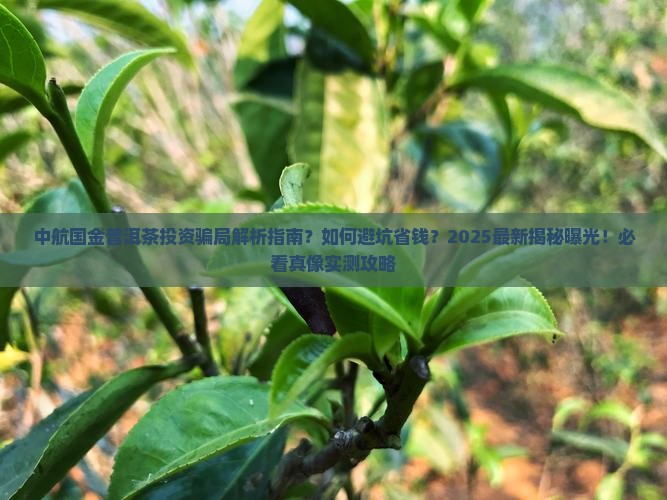 中航国金普洱茶受害维权群