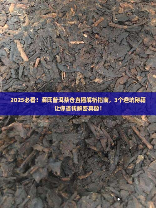 源氏普洱茶仓直播