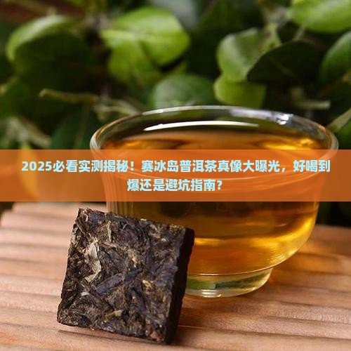 赛冰岛普洱茶好喝吗