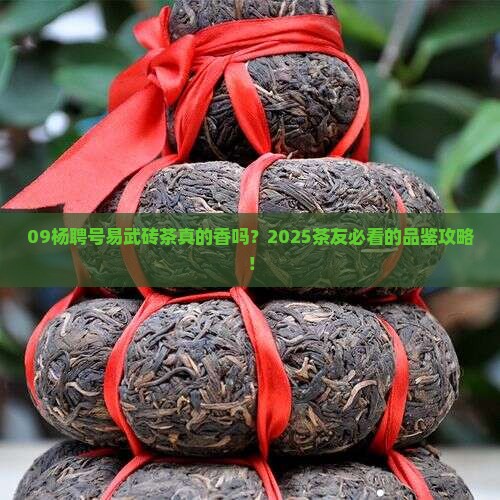 09杨聘号易武砖茶