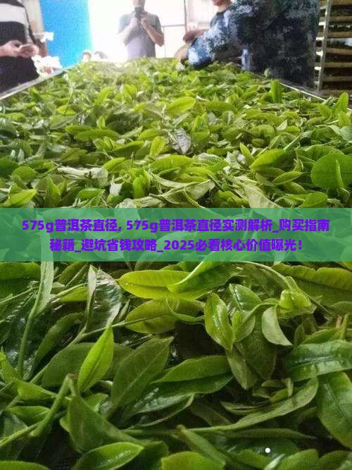 575g普洱茶直径