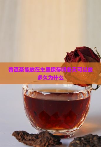 普洱茶能放在车里保存吗