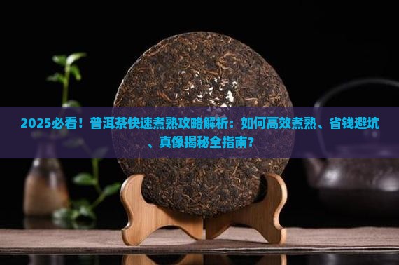 怎么快速煮熟普洱茶