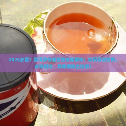 怎么快速煮熟普洱茶