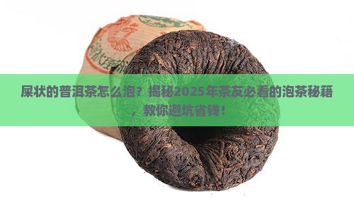屎状的普洱茶怎么泡
