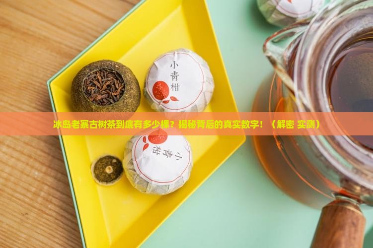 冰岛老寨古树茶有多少棵