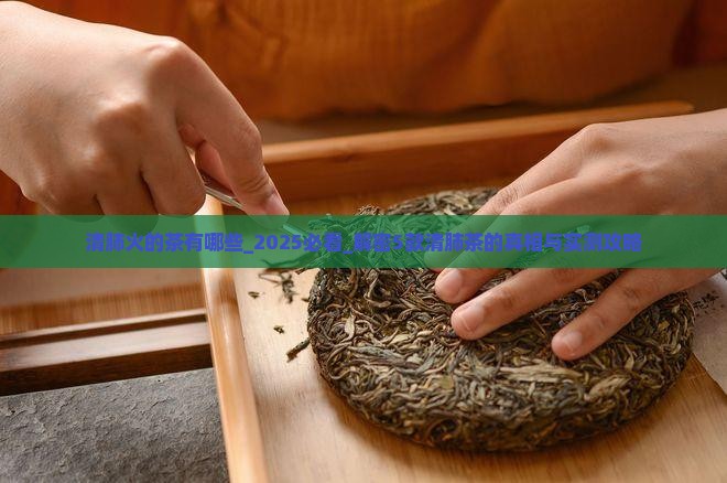 清肺火的茶有哪些