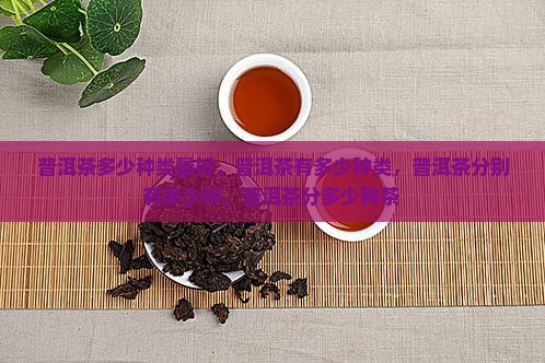 普洱茶多少种类