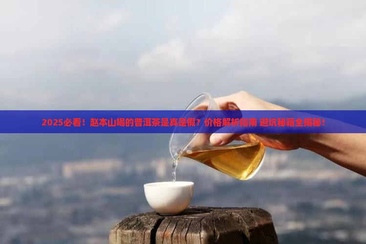 赵本山喝的普洱茶