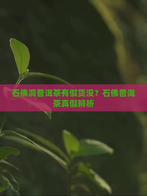 石佛洞普洱茶有假货没