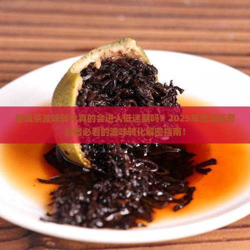 普洱茶滋味转化的低迷期