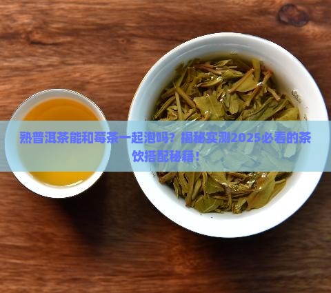 熟普洱茶能和莓茶一起泡吗