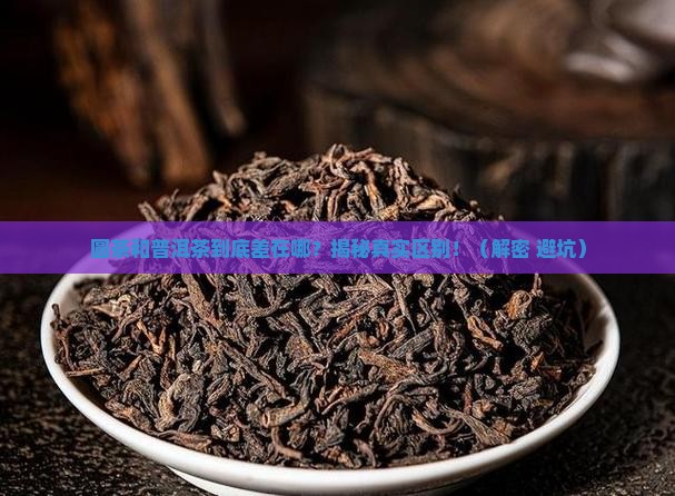 圆茶和普洱茶有什么不同