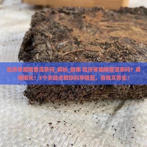 吃茯苓能喝普洱茶吗
