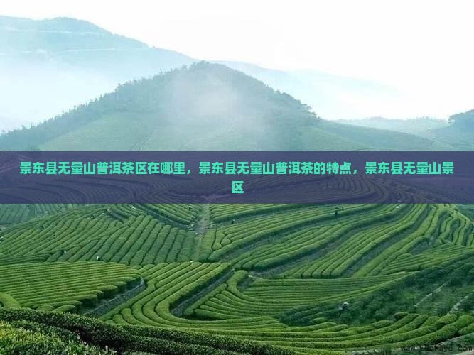 景东县无量山普洱茶区