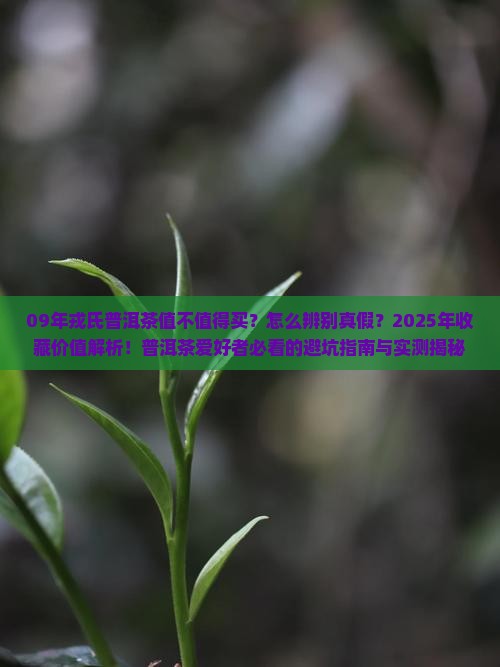 09年戎氏普洱茶