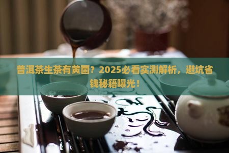 普洱茶生茶有黄菌