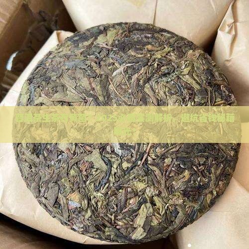 普洱茶生茶有黄菌