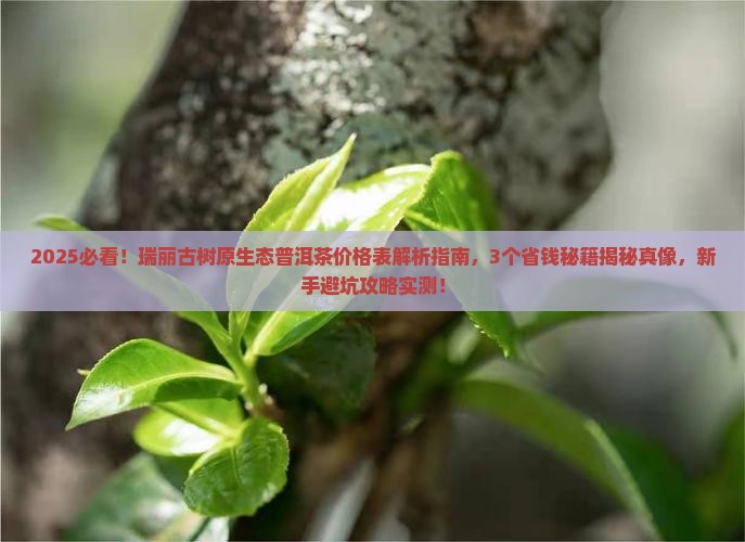 瑞丽古树原生态普洱茶价格表