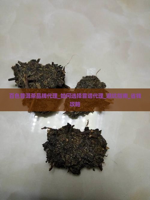 百色普洱茶品牌代理
