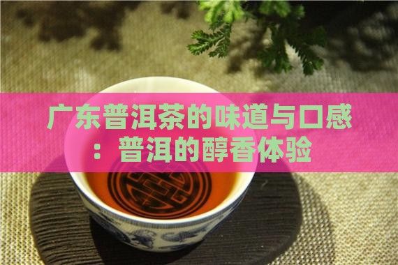 广东普洱茶的味道