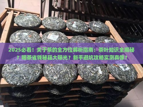 关于茶的问题关于茶的知识有哪些