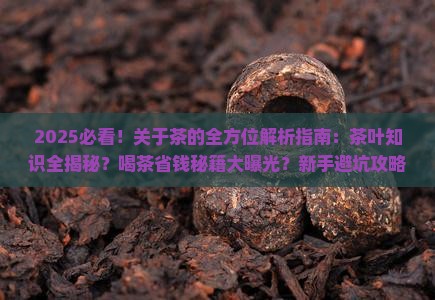 关于茶的问题关于茶的知识有哪些