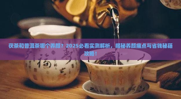 茯茶和普洱茶哪个养颜