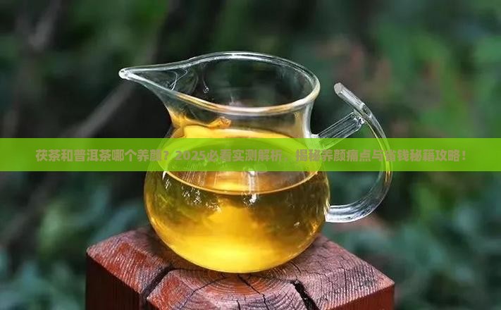 茯茶和普洱茶哪个养颜