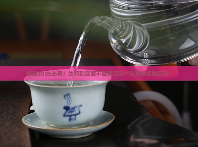 生普不是普洱茶
