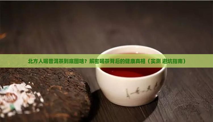 北方喝普洱茶的好处