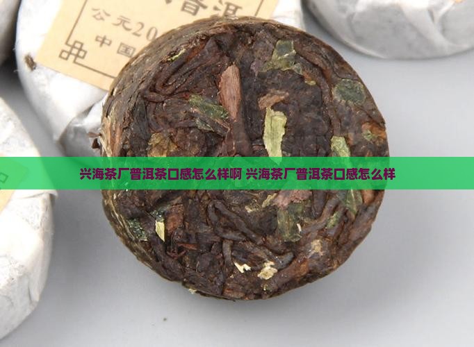 兴海茶厂普洱茶口感怎么样