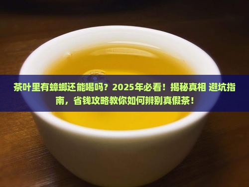 茶叶里有蟑螂还能喝吗