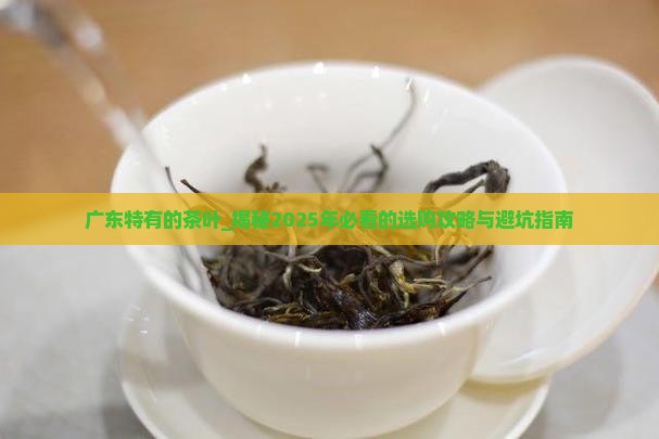 广东特有的茶叶