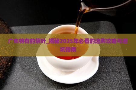 广东特有的茶叶