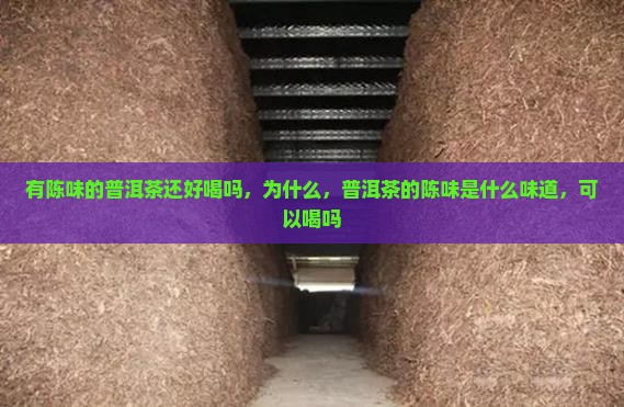 有陈味的普洱茶还好喝吗