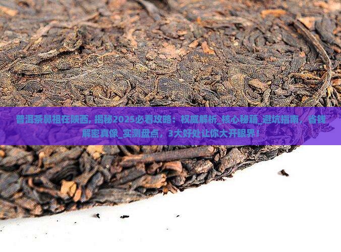 普洱茶鼻祖在陕西