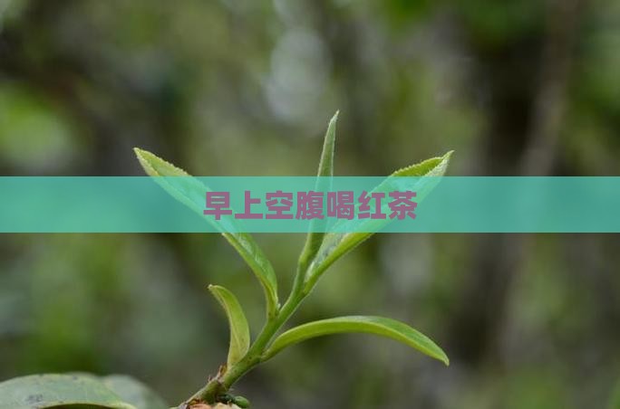早上空腹喝红茶