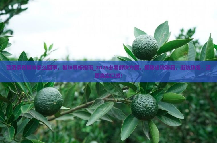 普洱茶有糊味怎么回事