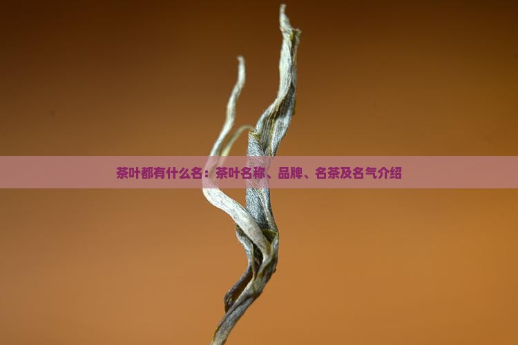 茶叶都有什么名