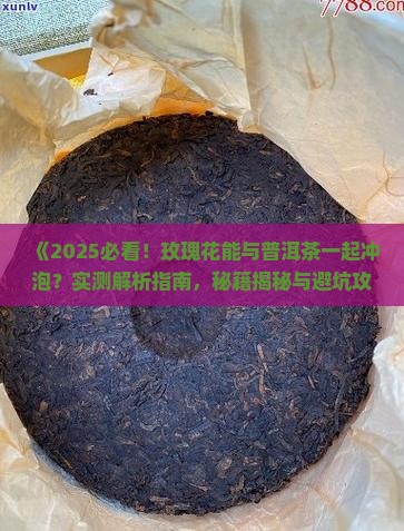 玖瑰花能与普洱茶一起冲泡