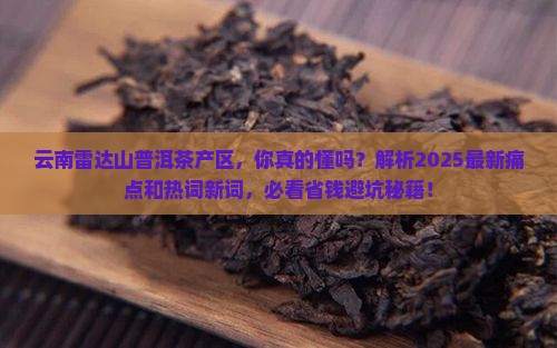 云南雷达山普洱茶产区