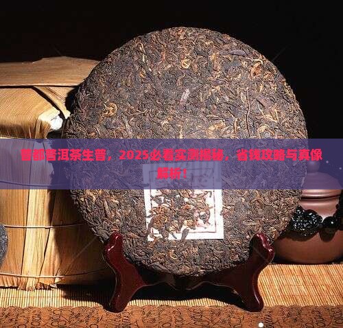 普都普洱茶生普 普都普洱茶生普