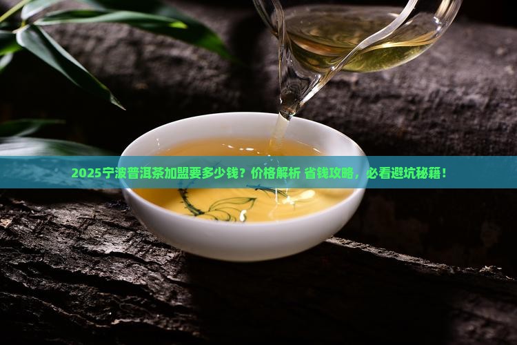 宁波普洱茶如何加盟的价格